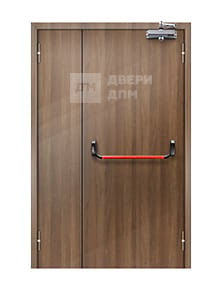 Противопожарная дверь с порошковым окрасом ДП-006